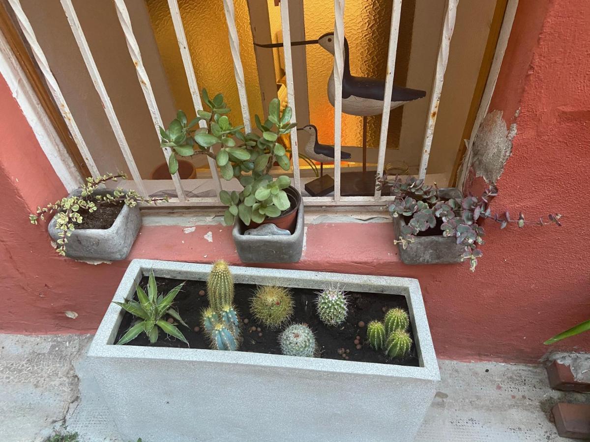 Joli Appart 29M2 En Vieille Ville Menton 2 Mins De La Mer 외부 사진
